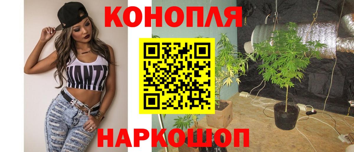 Бошки Шишки конопля Орск